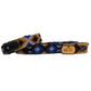 Set RAINBOW M2 36-41cm