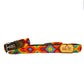 Set RAINBOW XS 24-28cm