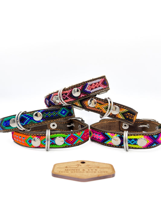 Halsband OASIS XS 22-28cm